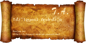Tölgyesi András névjegykártya